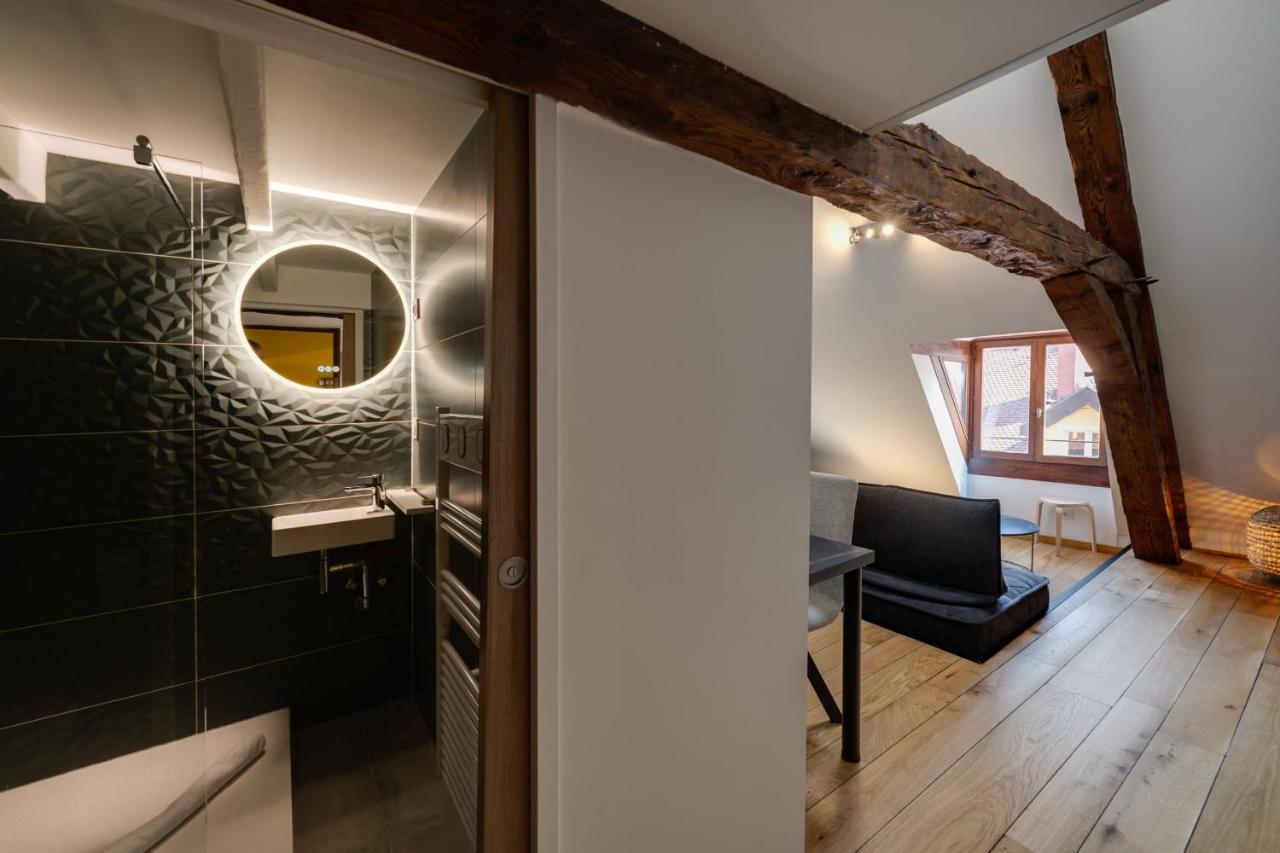 Le Septqatre - Grand Triplex Au Coeur De La Vieille Ville 阿讷西 外观 照片